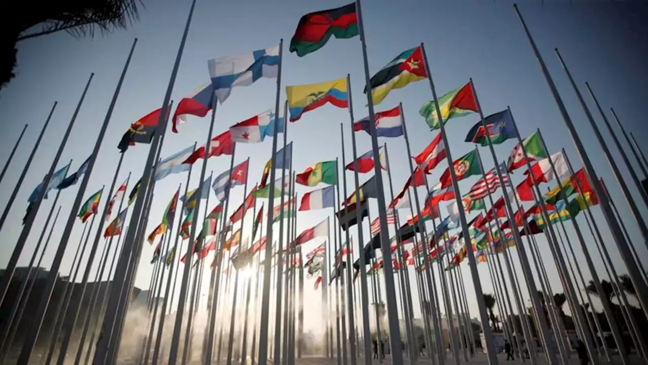 World Cup 2022: list of 26-man squads playing in FIFA tournament