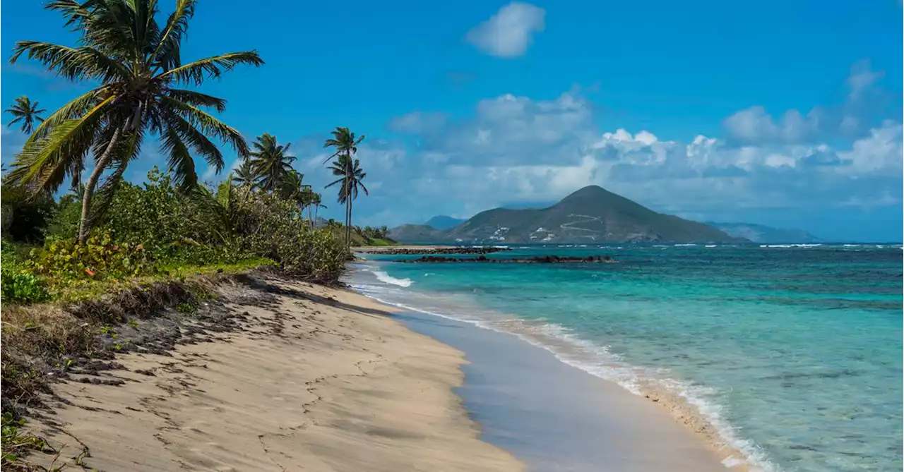 Bitcoin Cash Could Be Legal Tender in St. Kitts By March, Prime Minister says