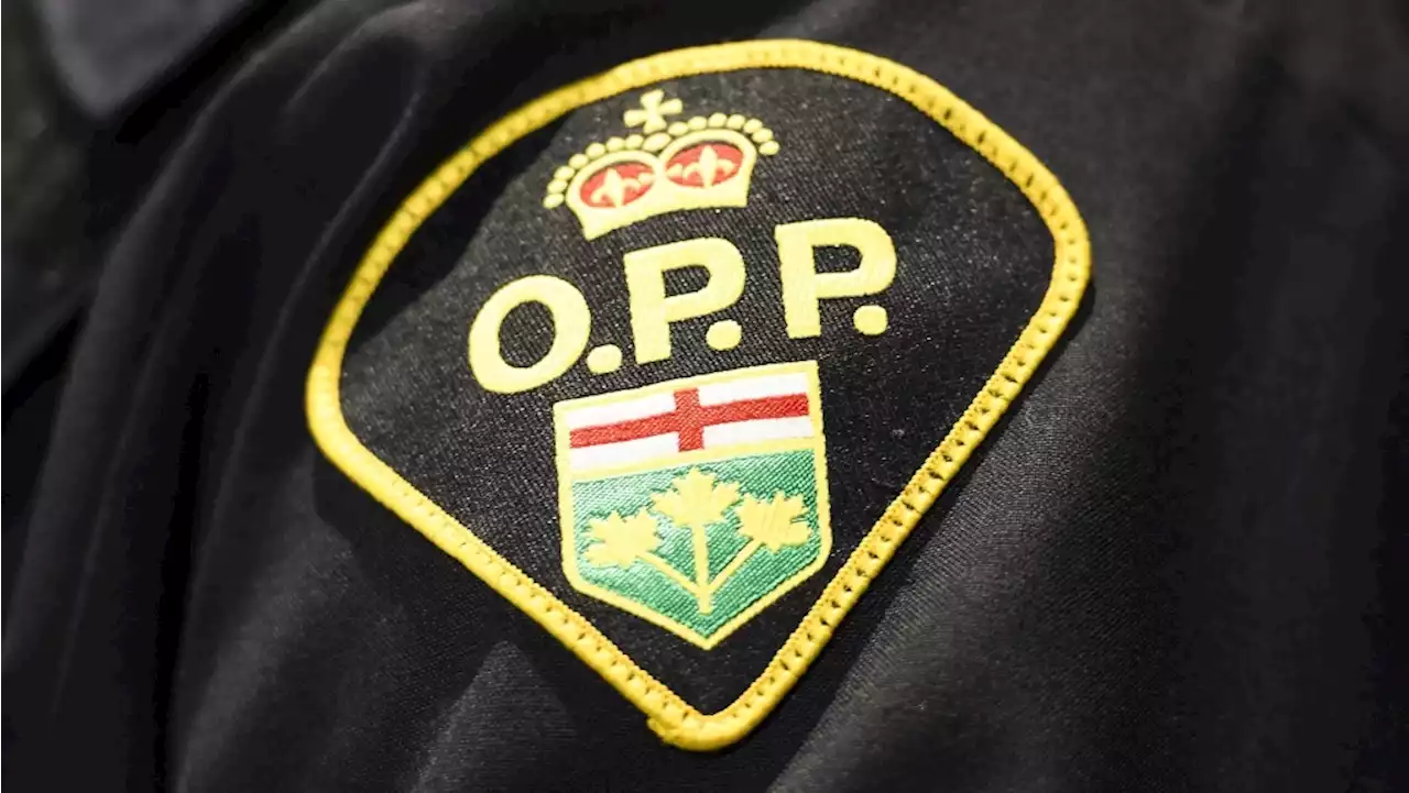 Two youths face charges in alleged vehicle theft in Arnprior, Ont.