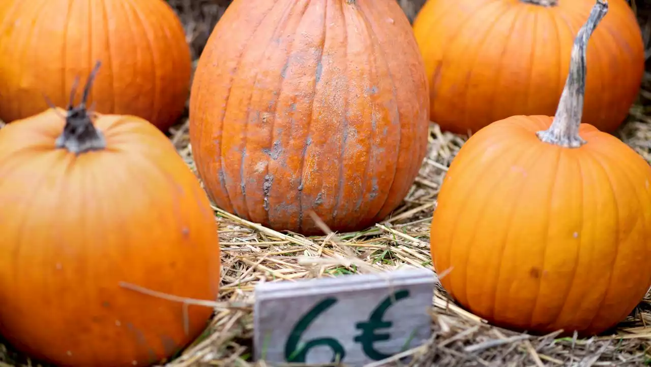 Inflation: Gemüse und Fleisch fast 40 Prozent teurer als im Vorjahr