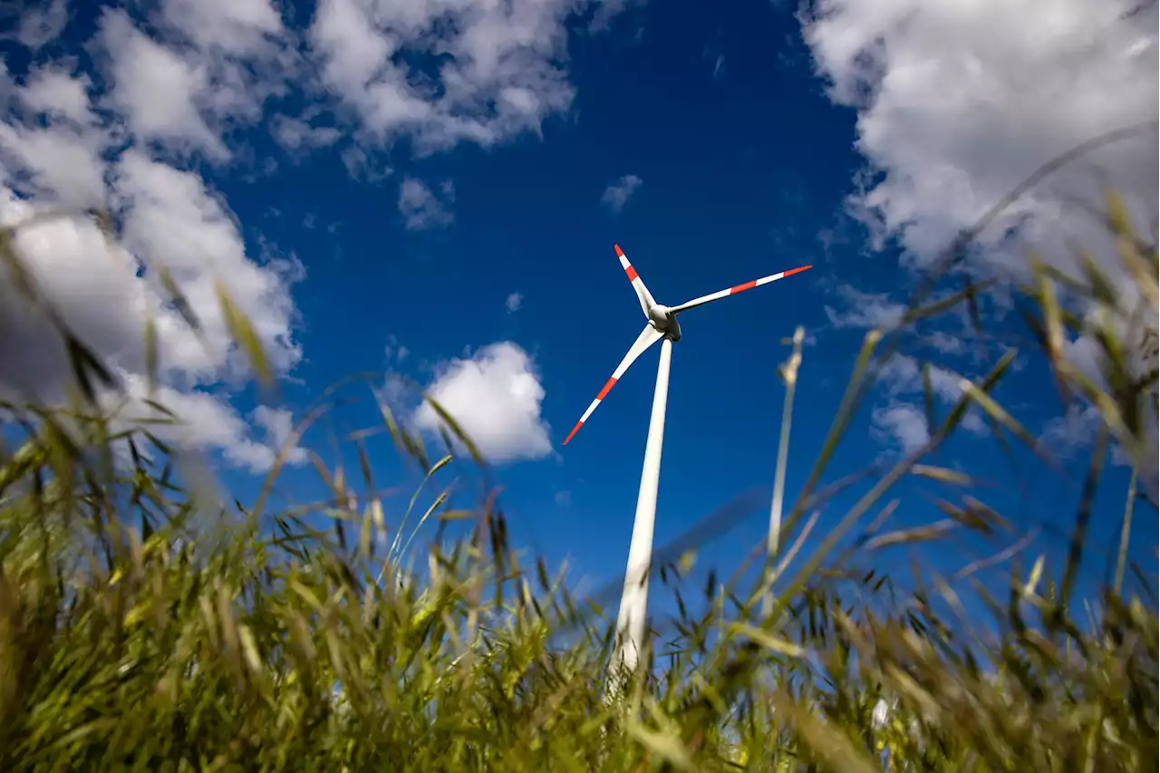 Klimaschutz-Index - Deutschland verschlechtert sich um drei Plätze