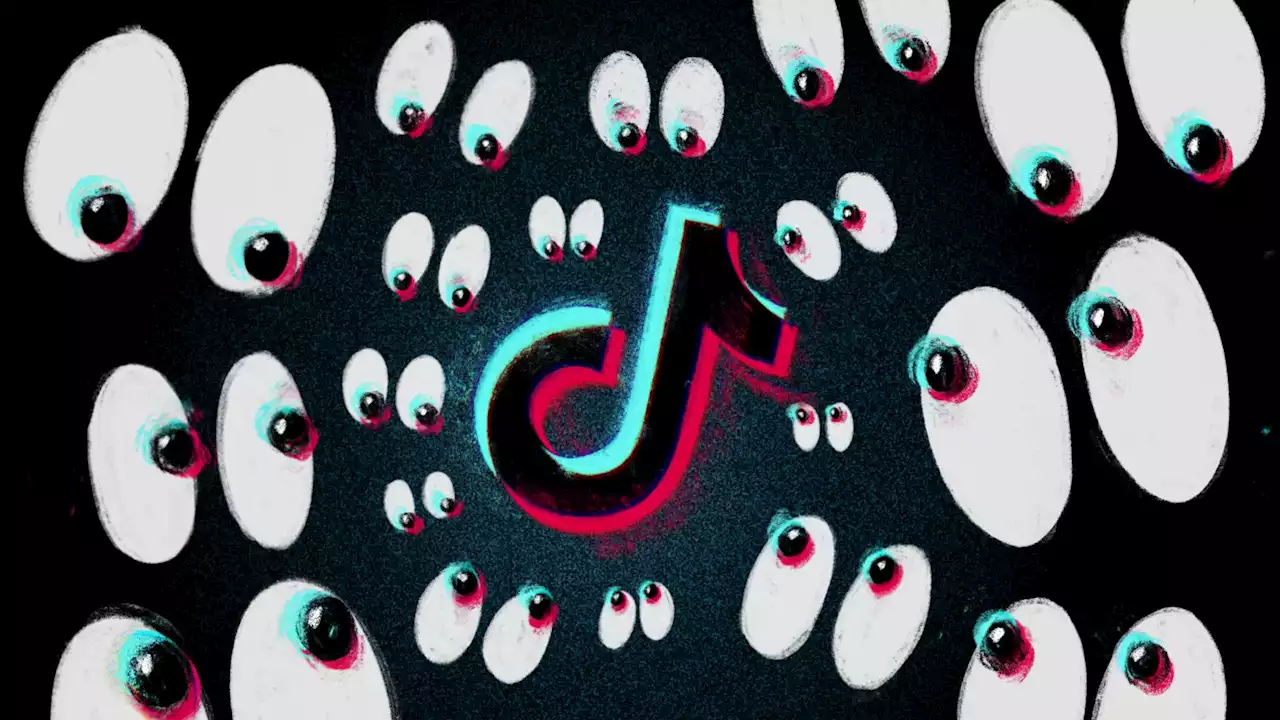 These TikTok Accounts Are Hiding Child Sexual Abuse Material In Plain Sight