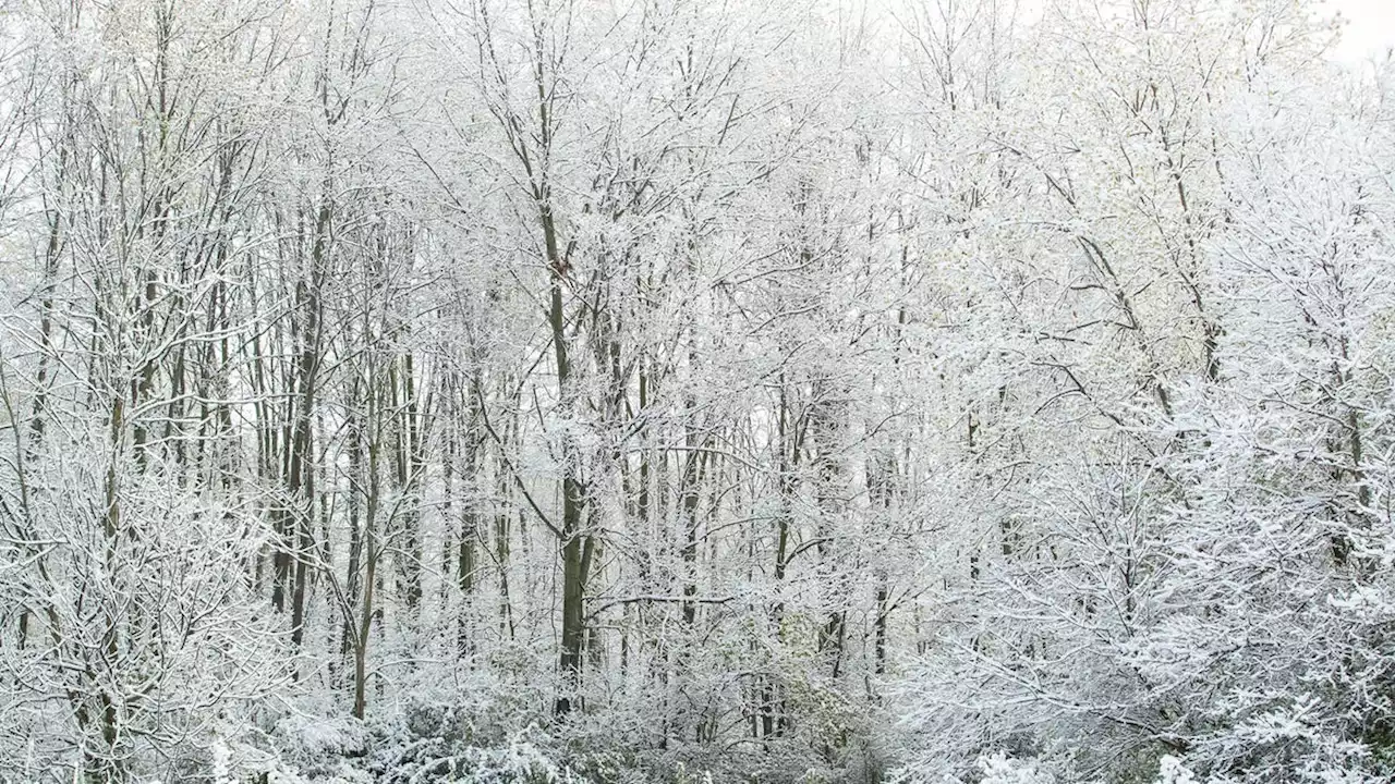 Record snowfall in Central Indiana kickoffs winter season, more expected Tuesday