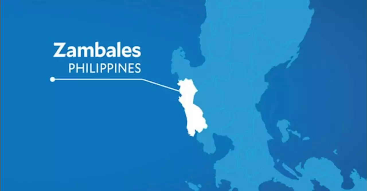 High-ranking rebel, 2 others yield in Zambales