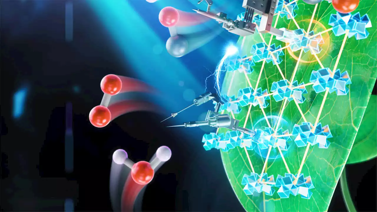 A newly created artificial photosynthesis system is 10 times more effective than existing systems