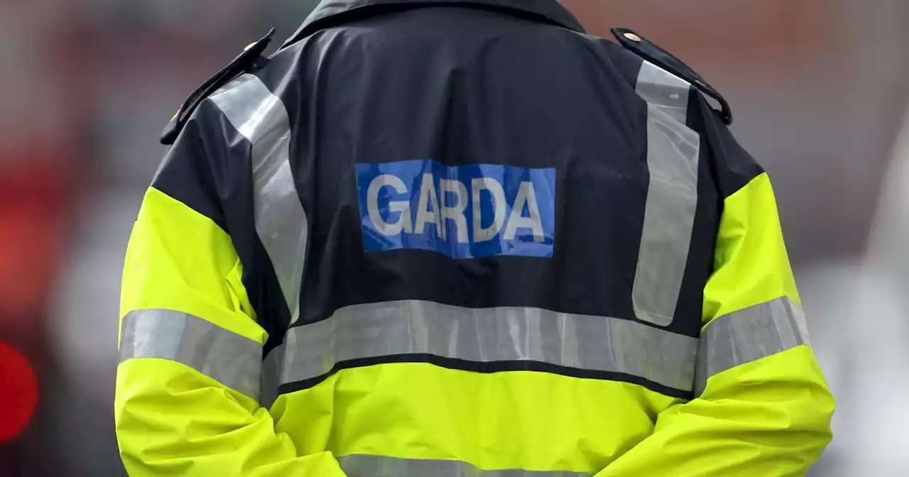 Garda seriously injured after being hit by car while dealing with incident