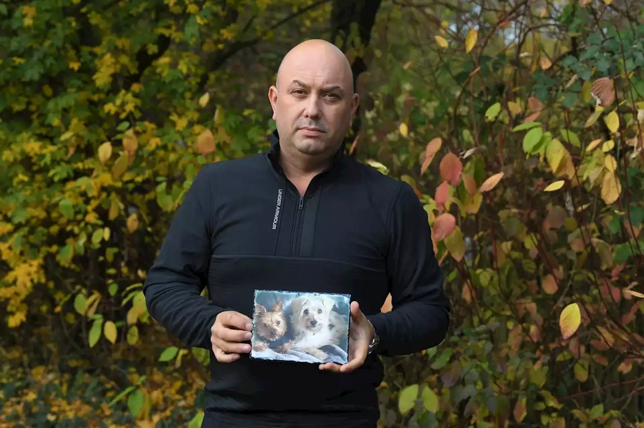 Man left distraught after losing two pet dogs in one week with one viciously attacked