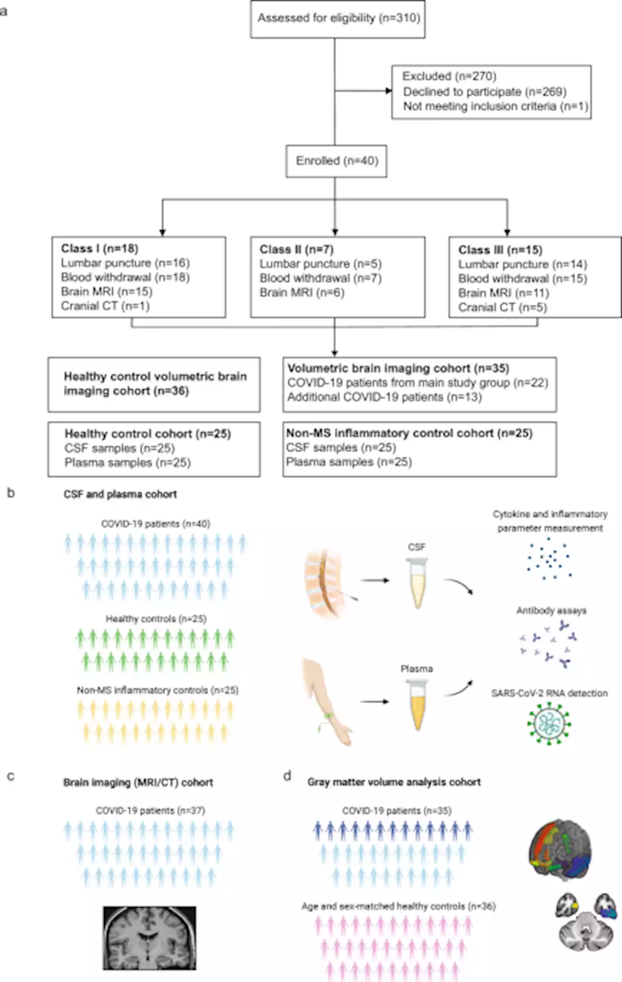 Severe Neuro-COVID is associated with peripheral immune signatures, autoimmunity and neurodegeneration: a prospective cross-sectional study - Nature Communications