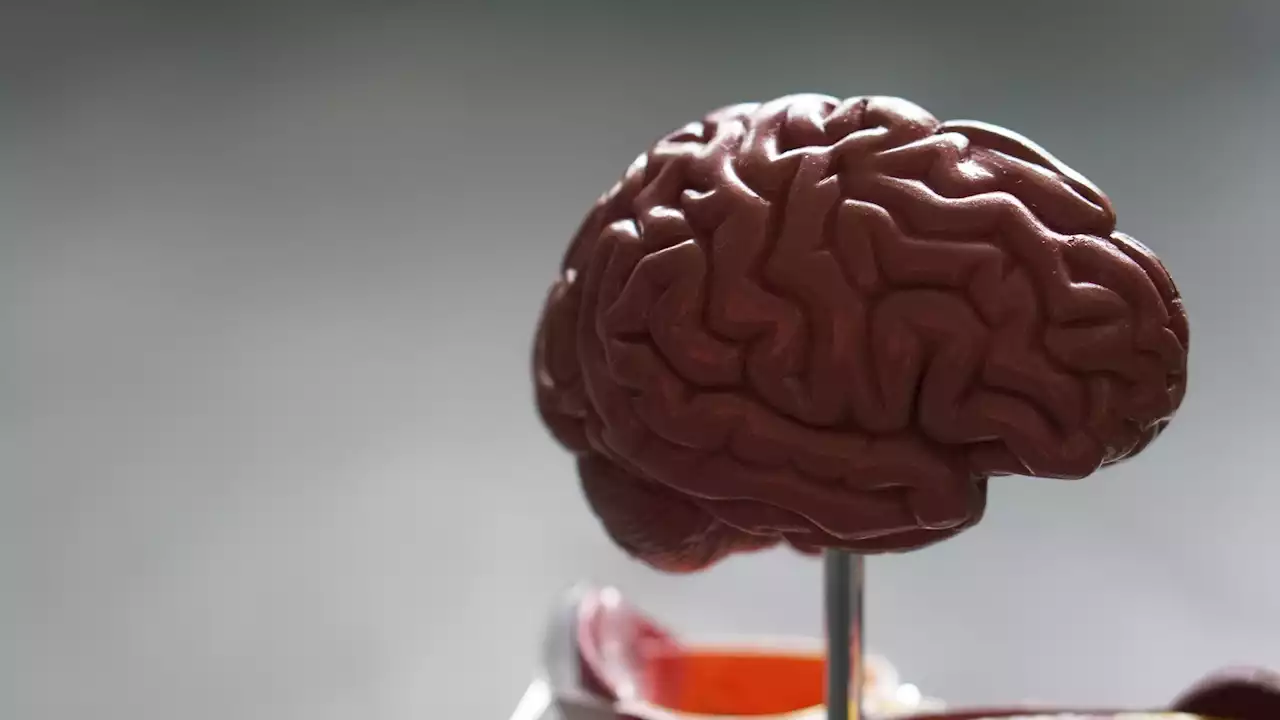 Study pinpoints three brain regions with signature connections in autistic individuals