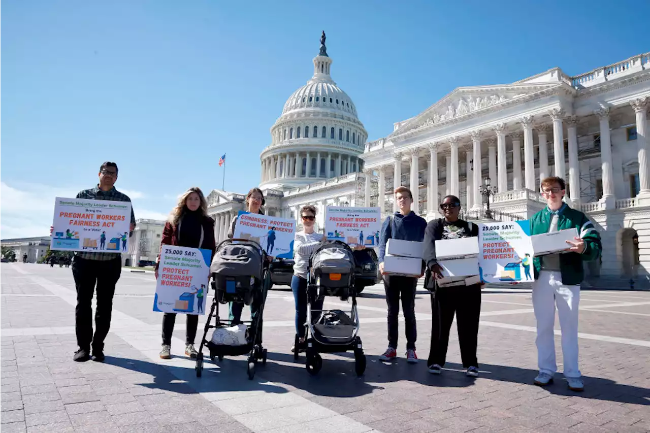 The Senate Must Prioritize the Needs of Pregnant Workers and Moms Like Me During the Lame Duck Session