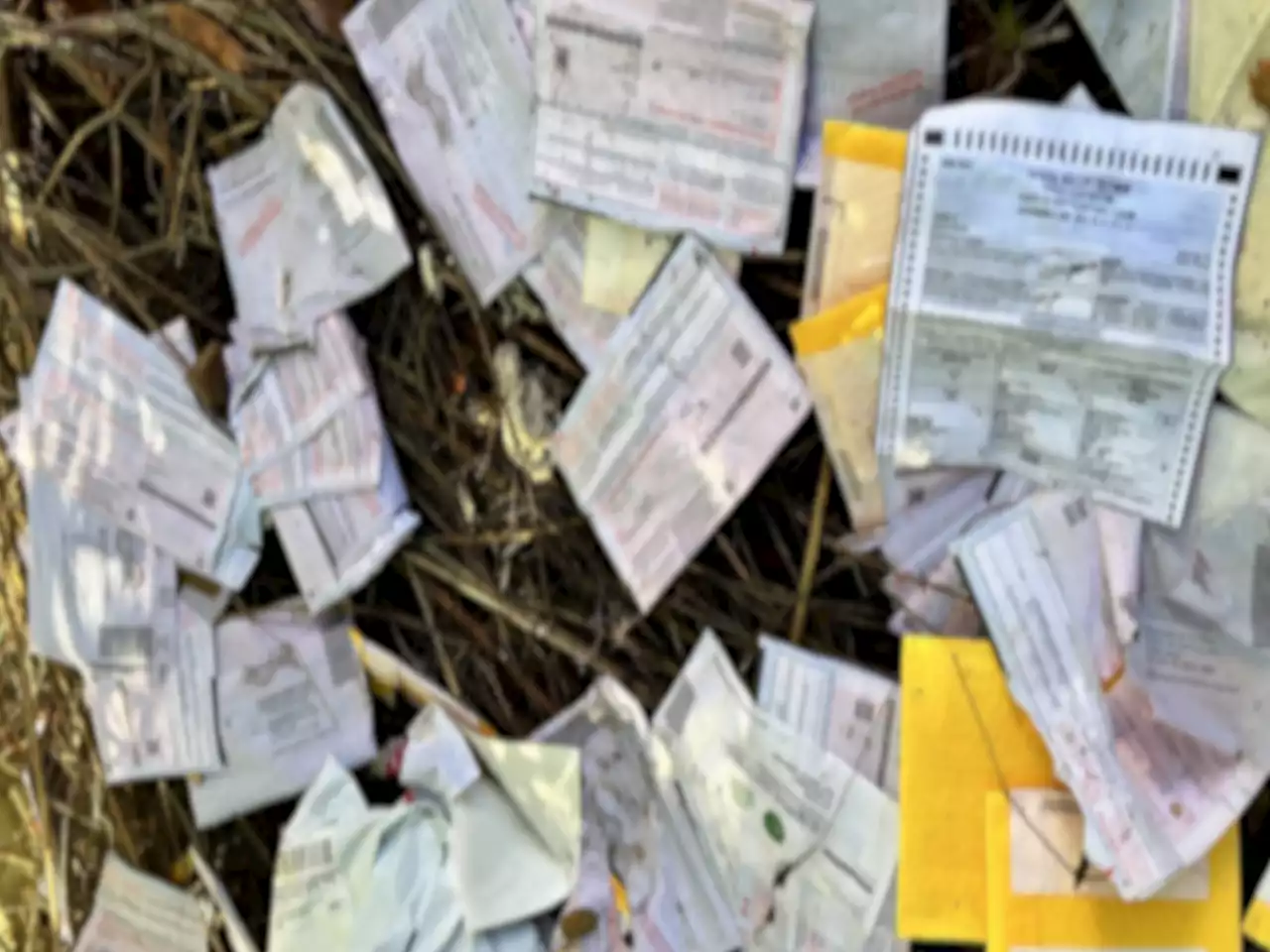 Estimated 1 to 2 Dozen Ballots Found in Santa Cruz Mountains, Santa Clara County Says