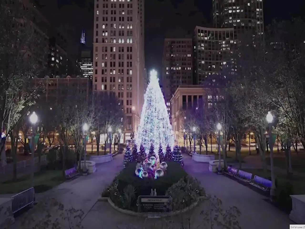 When Will Chicago's ‘Official' Christmas Tree Be Lit Up? What to Know About its Upcoming Debut