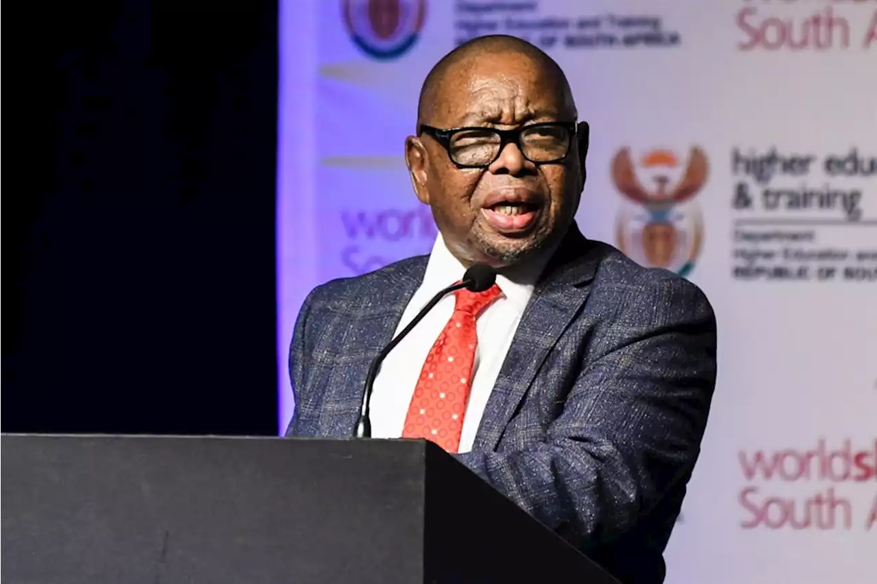 Nzimande denies attempts to seal forensic report into National Skills Fund's missing R5bn | News24