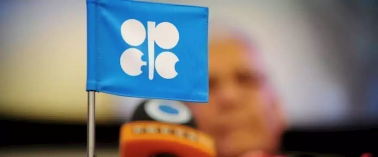 The Growing Anti-OPEC Movement Is Disasterous For Oil Markets | OilPrice.com