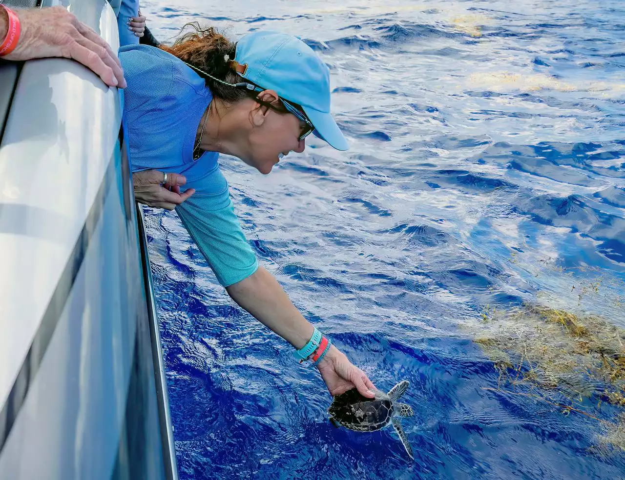 Sea turtle rescued after Ian among 15 released after rehabbing in the Florida Keys