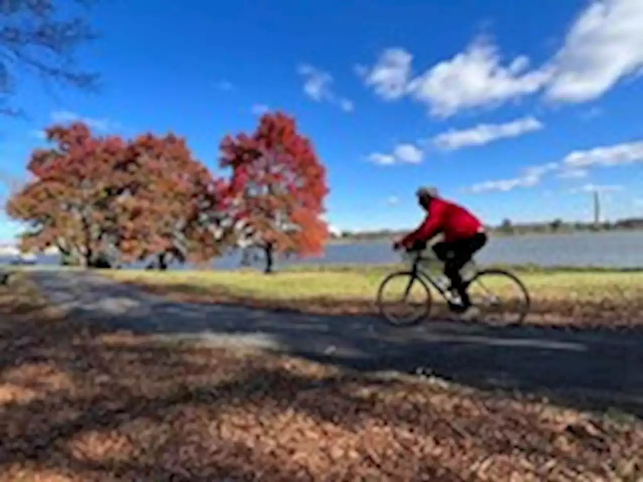 D.C.-area forecast: Colder than normal, all week long