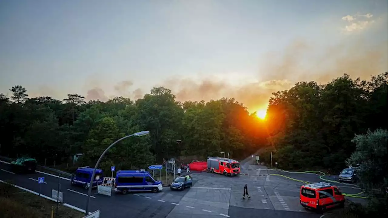 Ursache für Feuer auf Sprengplatz im Grunewald weiter unklar