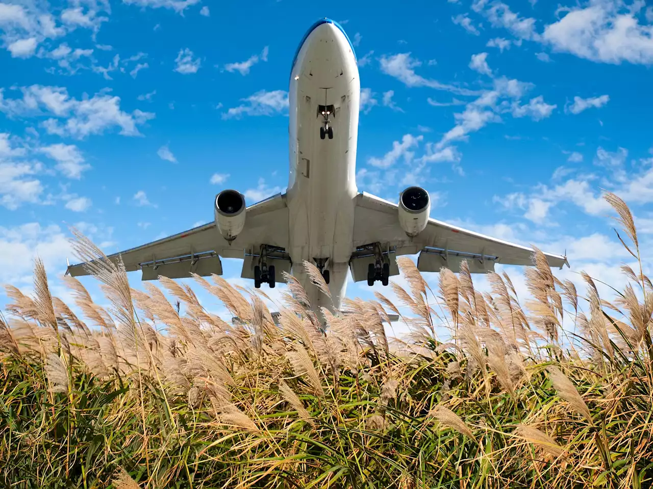 Biofuel Research: Full Decarbonization of U.S. Aviation Sector Is Within Grasp