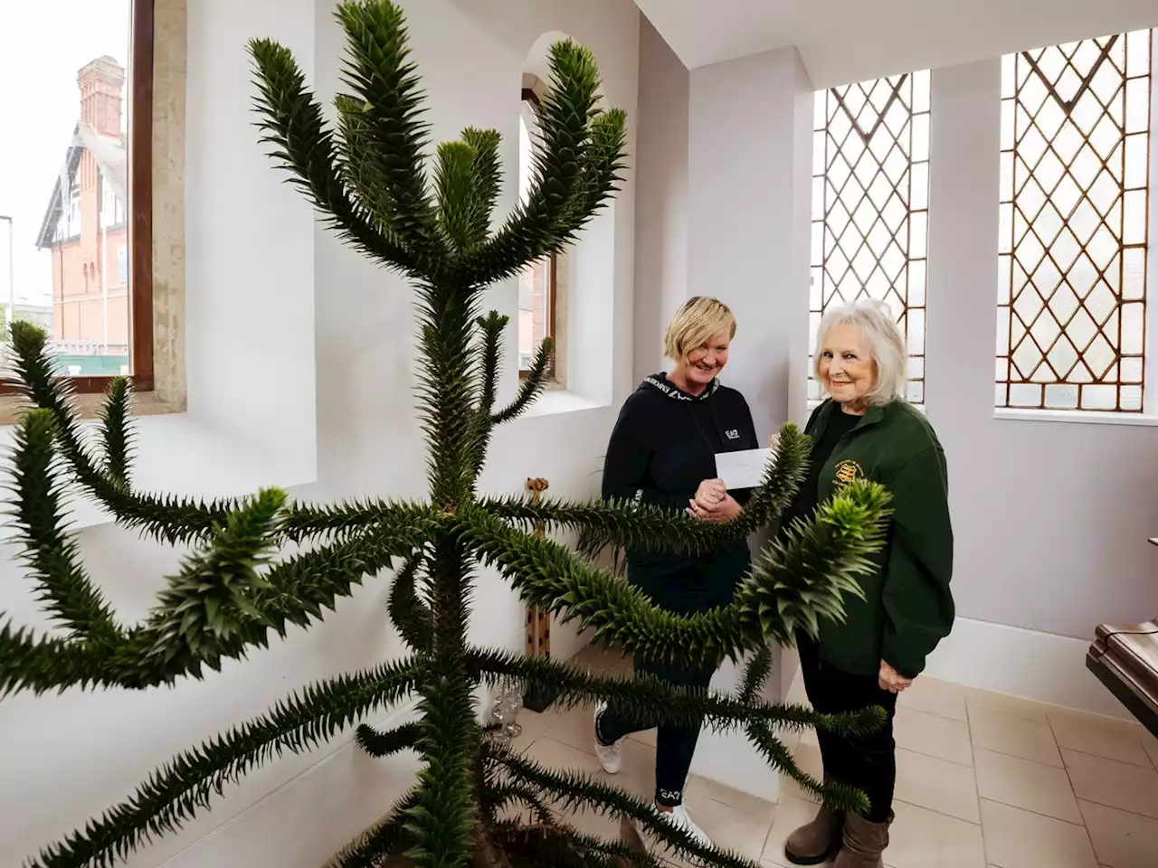 Happy ending for heartbroken Newport woman as 'part of the family' monkey puzzle tree is returned