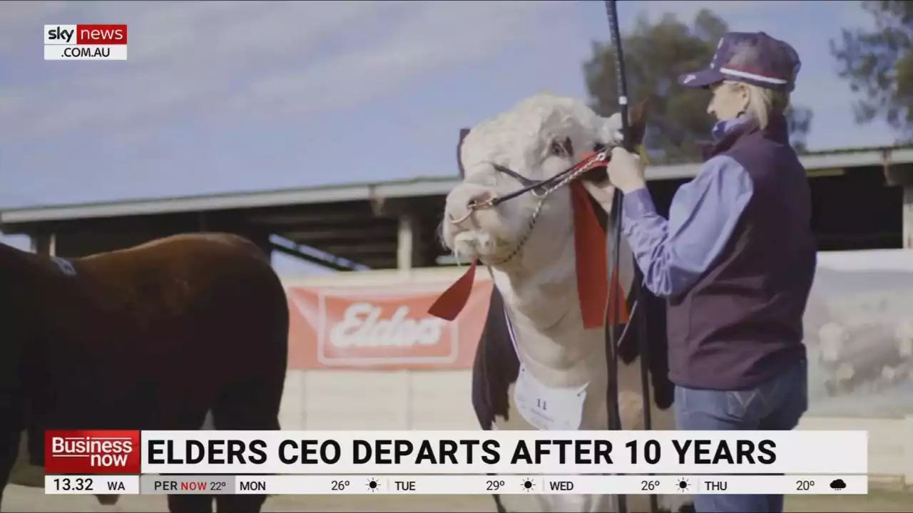 Elders CEO departs after 10 years