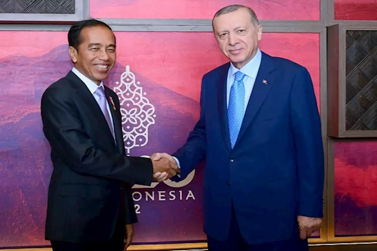 Bertemu Presiden Erdogan, Presiden Jokowi Berduka untuk Serangan Bom Istanbul