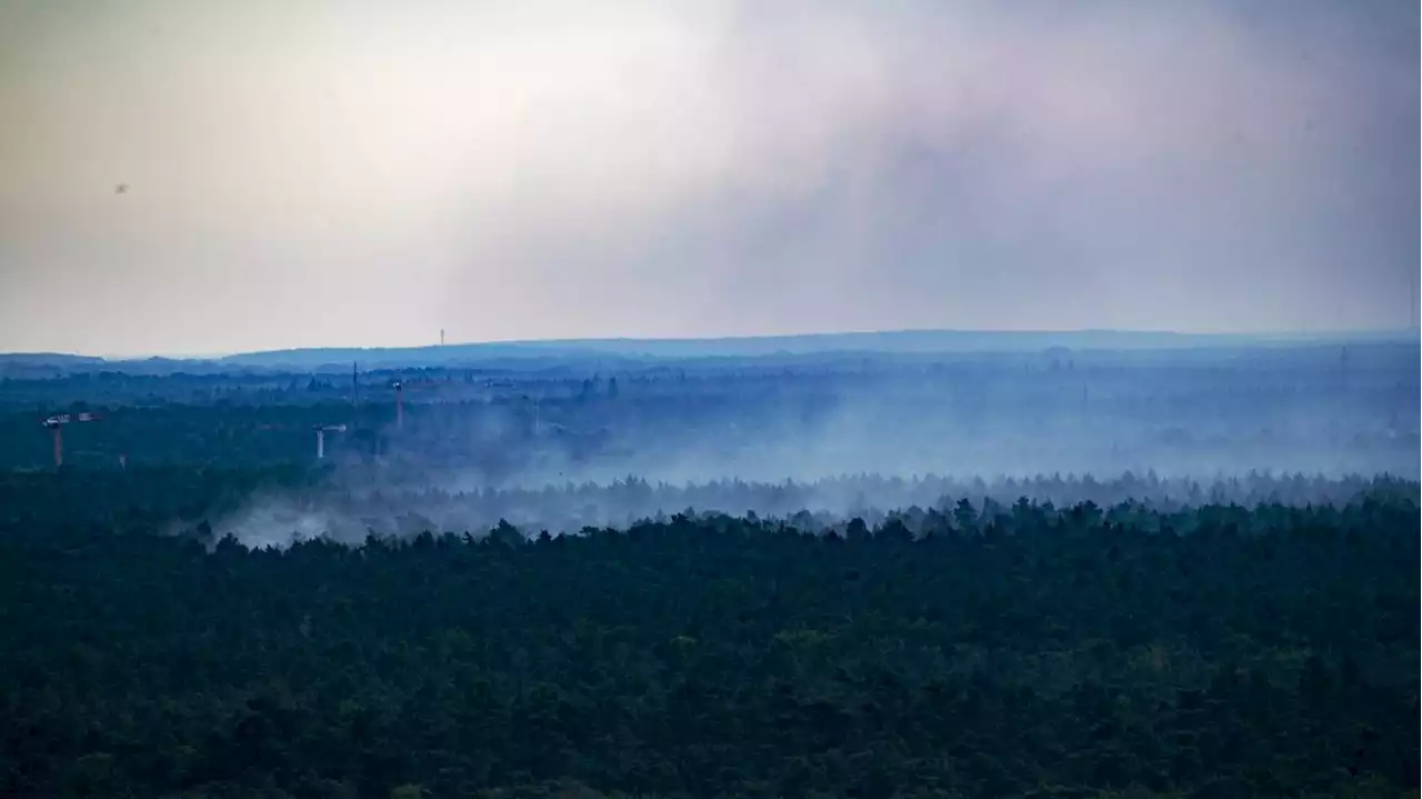 Berliner CDU kritisiert Dauer der Ermittlungen: Ursache für Brand auf Polizei-Sprengplatz im Grunewald ist weiter unklar