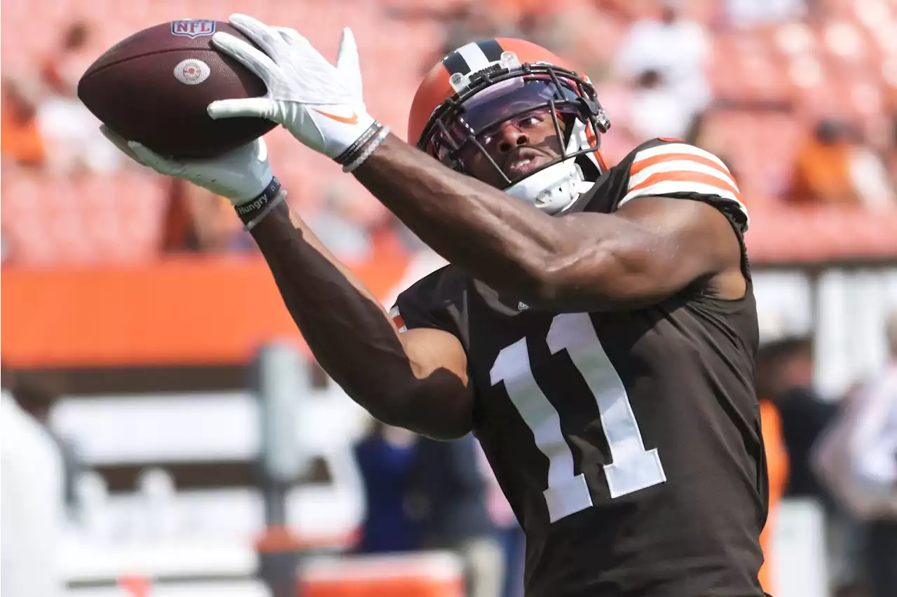 Donovan Peoples-Jones Finally Breaking Through In Browns' Offense