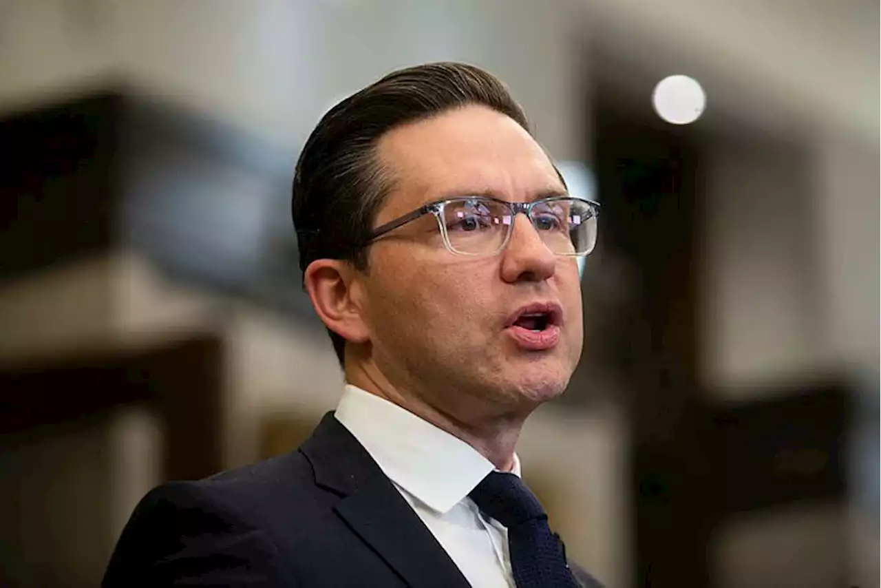 Poilievre paints a grim picture