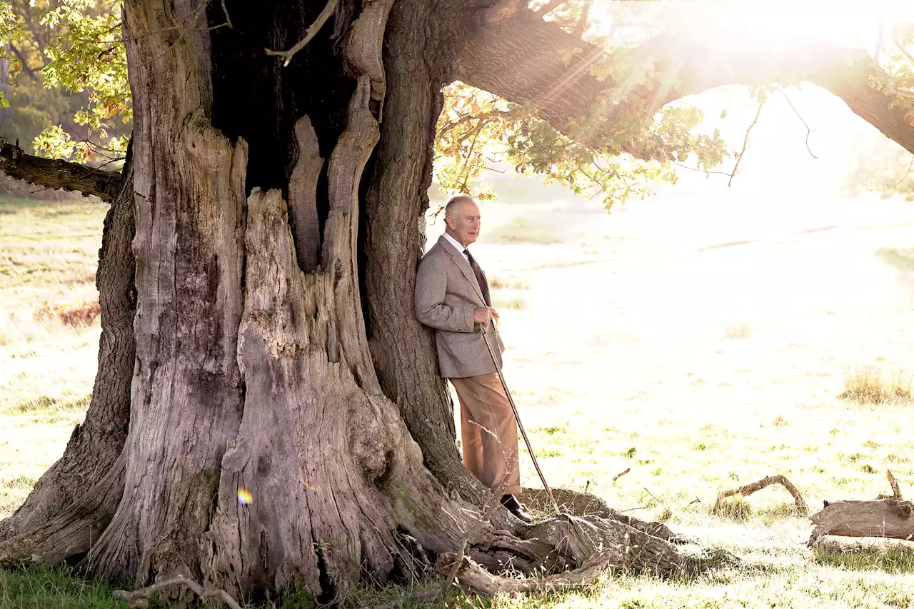 Charles takes on touching new role as he celebrates his 74th birthday - his first as king