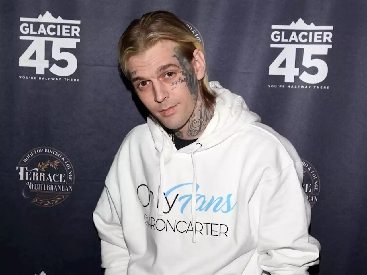 Aaron Carter's son Prince will inherit everything