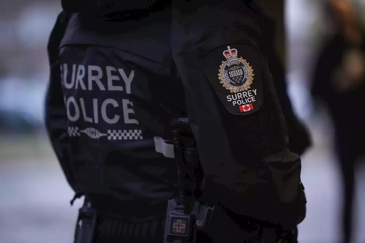 Surrey council considers report that could end transition to municipal police service