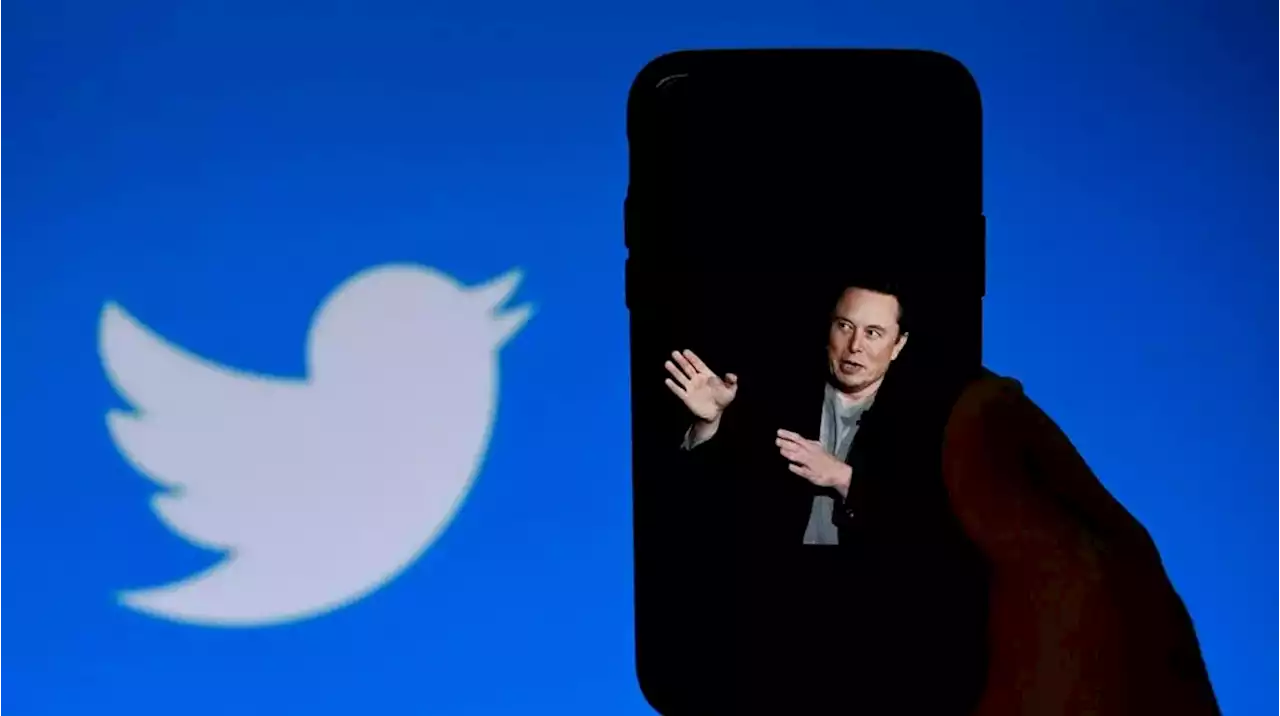 Cronología del caos: idas y vueltas de Twitter desde que Elon Musk tomó el control de la empresa