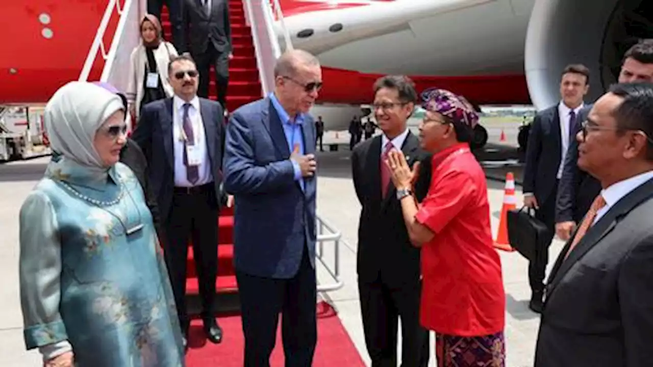 Türkiye's President Erdogan arrives in Indonesia's Bali for G20 Summit