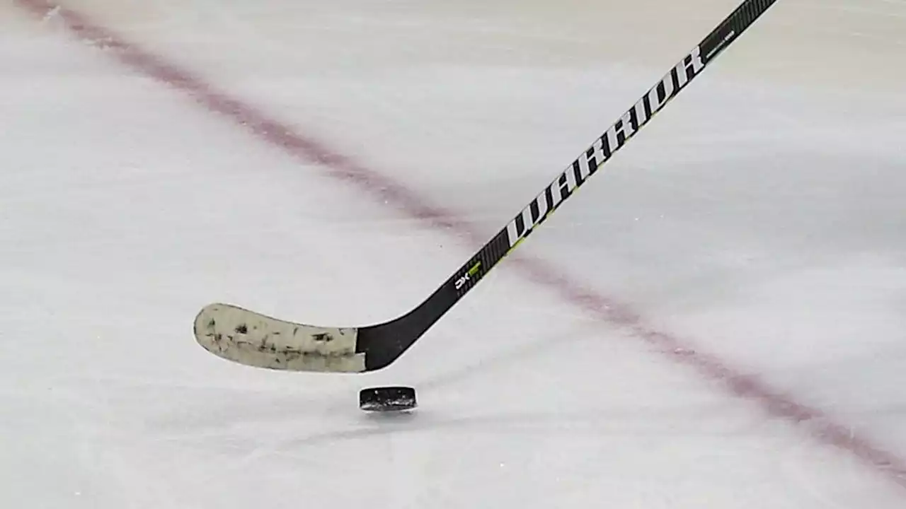 Youth hockey players accuse Michigan doctor of criminal sexual conduct