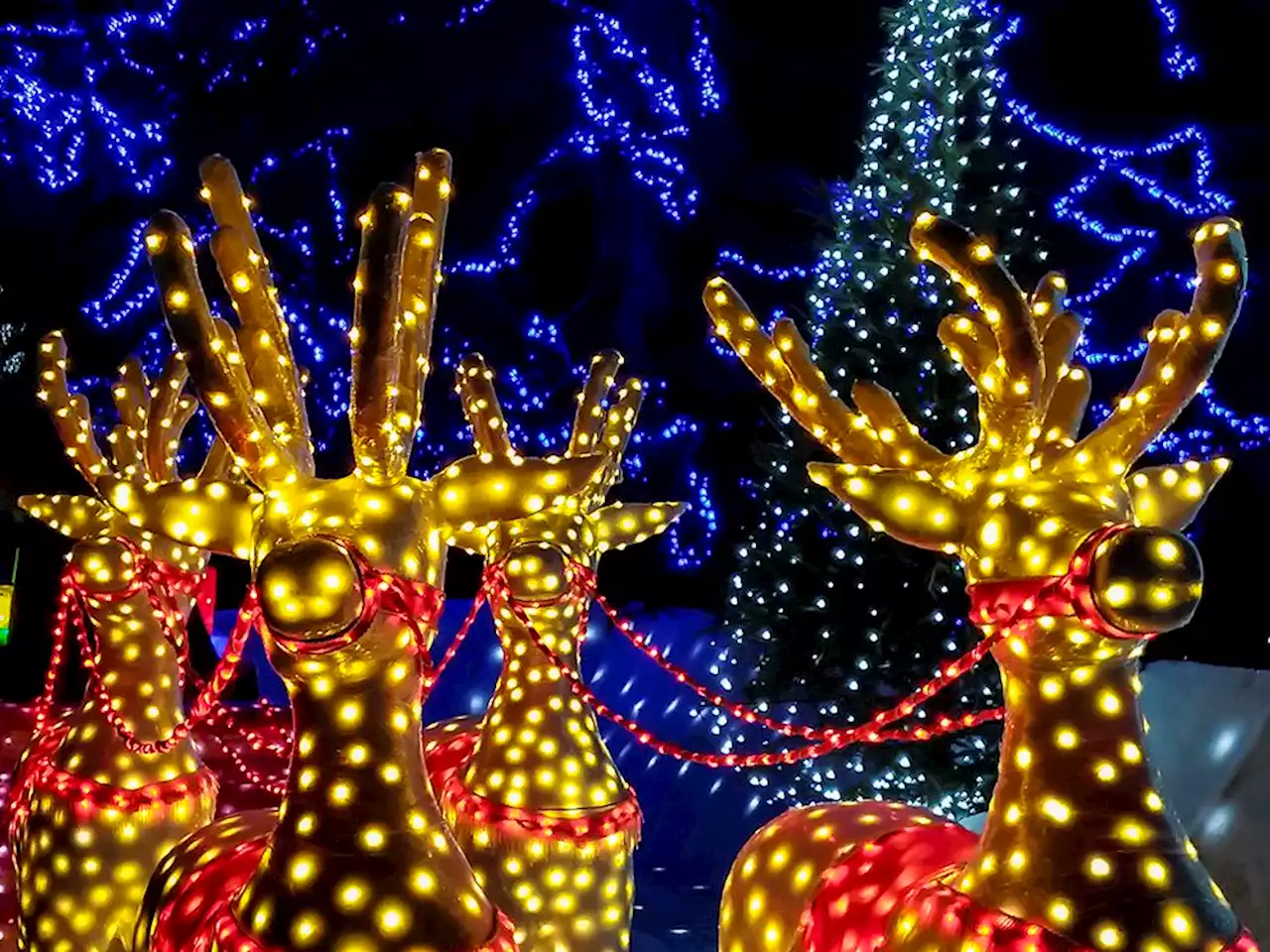 2022 Christmas lights map/list: Help us find the best displays around Metro Vancouver