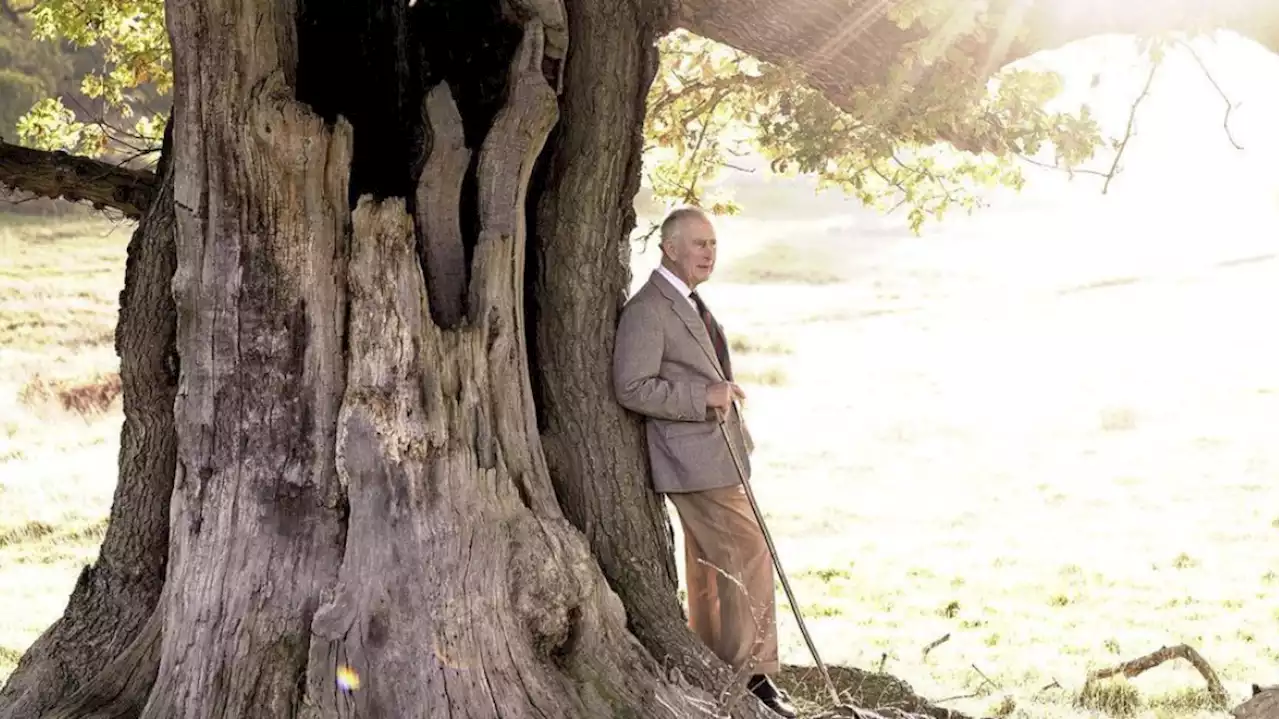 Le roi Charles III a 74 ans, nouvelle photo officielle pour son anniversaire