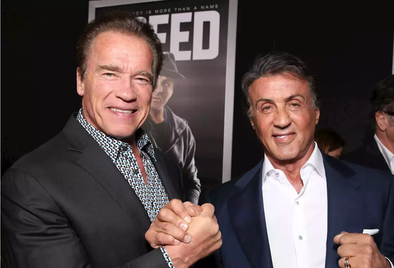 Stallone and Schwarzenegger ‘Disliked Each Other Immensely’ Due to Box Office Rivalry: ‘We Truly Loathed Each Other’