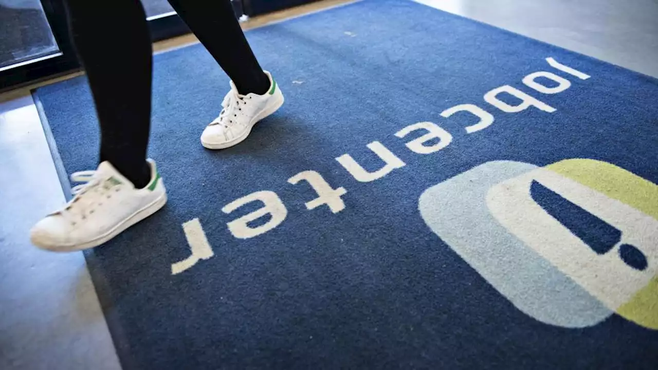 Kommunerne har indberettet mere end 5000 databrud på to år | Version2