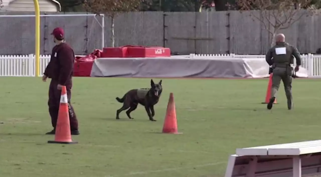 JSO K-9, 2 FHP K-9s named ‘Top Dog’ winners during K9s United Law Enforcement Competition