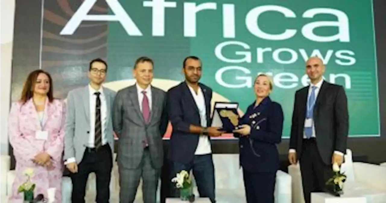 وزيرة البيئة تسلم جوائز مبادرة Africa Grows Green لمعالجة تغير المناخ - اليوم السابع
