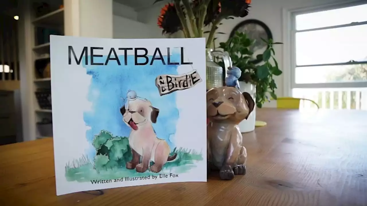 Delaware Co. teen publishes children's book 'Meatball and Birdie'