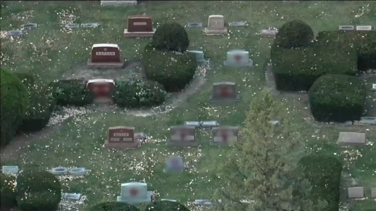 Headstones vandalized with swastikas at Jewish cemetery in Waukegan