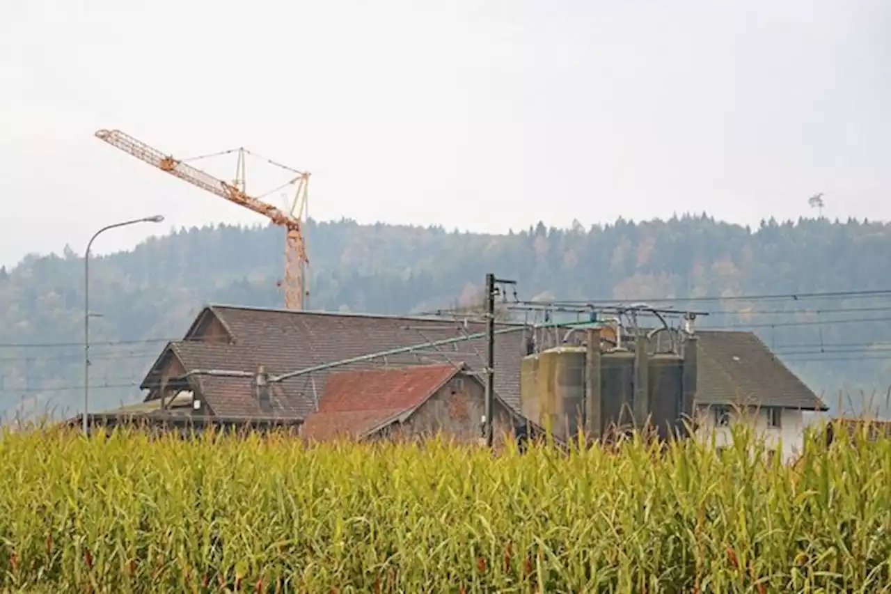 Investitionshilfen sind neu auch für Pächter innerhalb der Familie möglich - bauernzeitung.ch