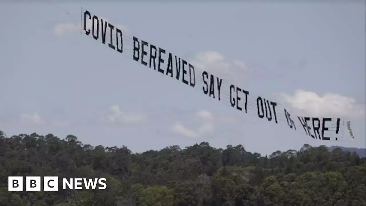 Matt Hancock: Covid campaigners fly banner over I'm A Celebrity jungle