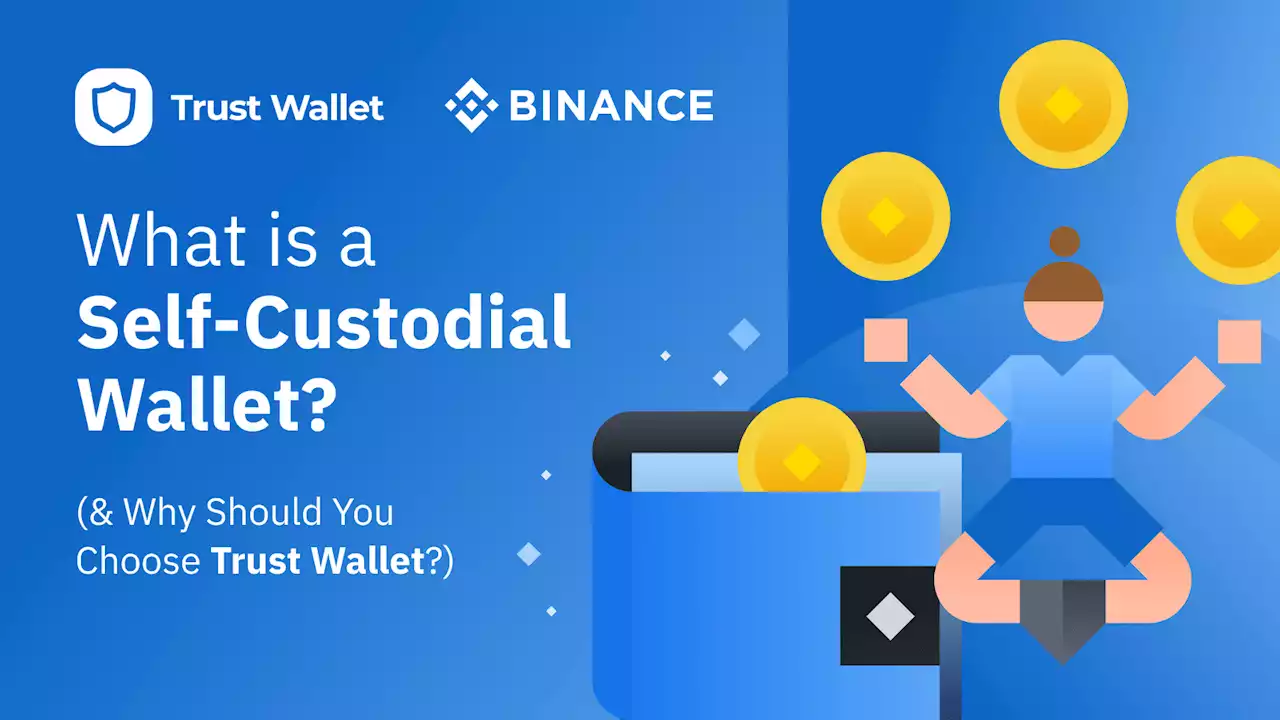 What Is a Self-Custodial Wallet and Why Should You Choose Trust Wallet? | Binance Blog