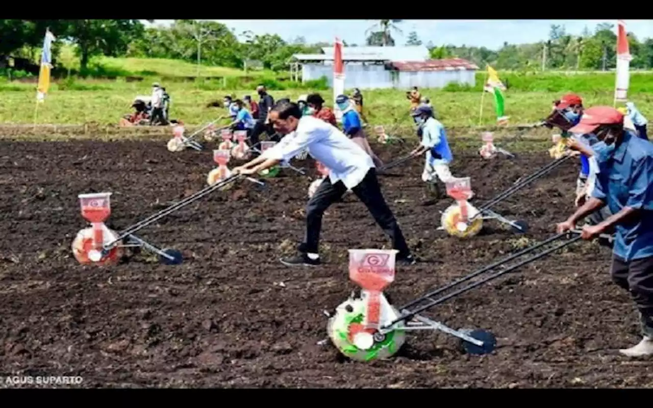 Lusa, DPR Akan Sahkan Provinsi Papua Barat Daya