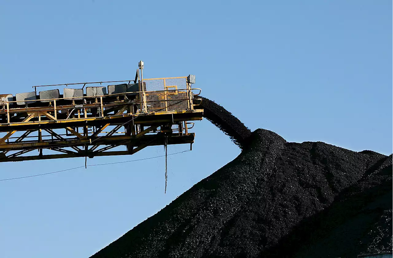 Rich nations stick to coal phase-out as China builds new plants - BusinessWorld Online