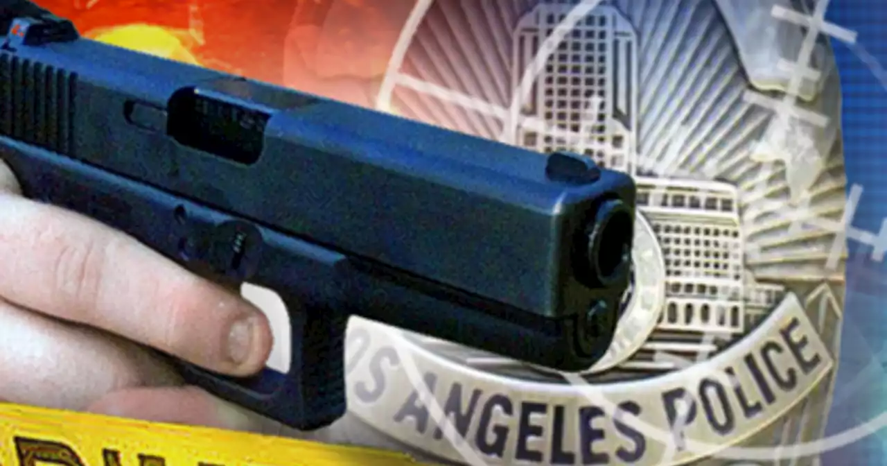 LAPD officers shoot foam projectile at woman with replica handgun in South LA