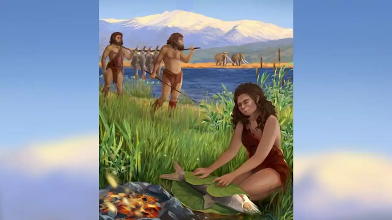 Clues at ancient lake site reveal earliest known cooked meal | CNN