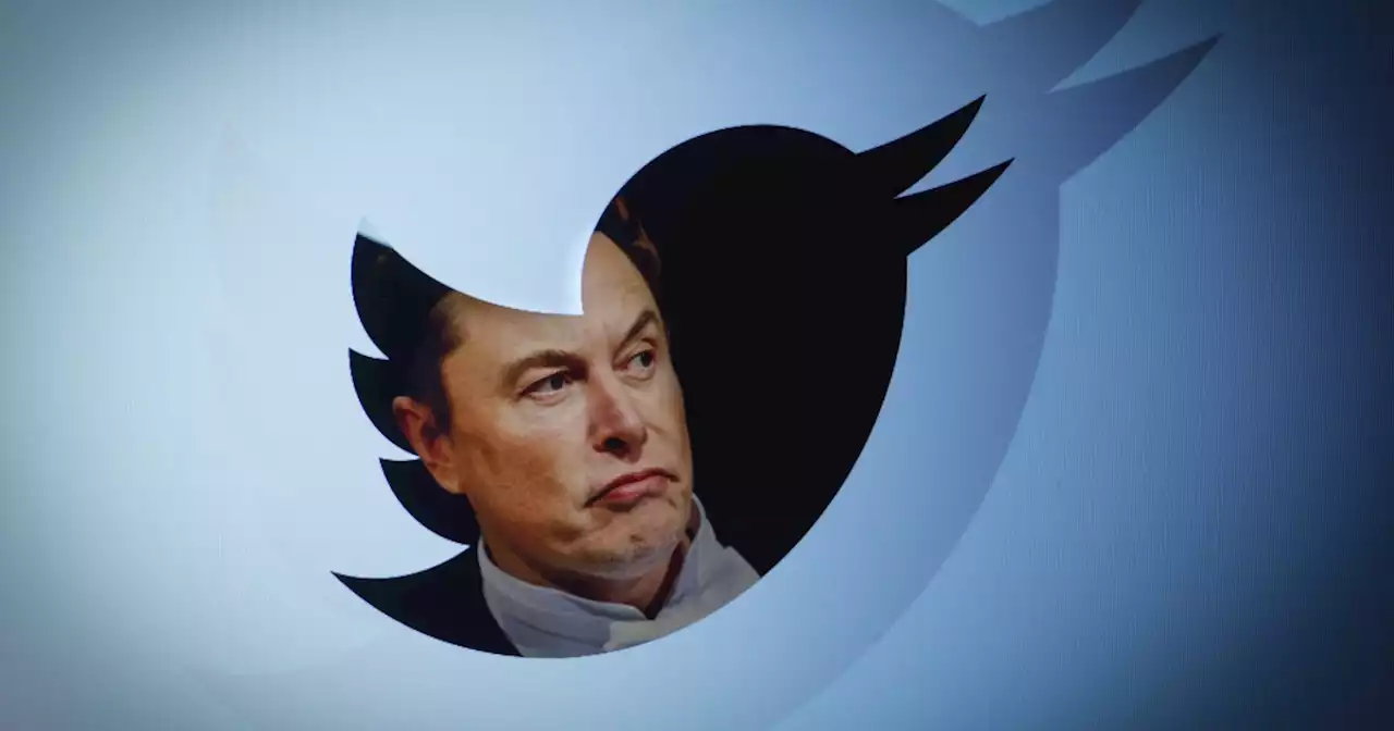 Opinion | Elon Musk's Takeover of Twitter Is More Problematic Than You Think